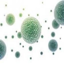 Antibactrial
